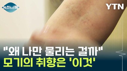 "왜 나만 물리는 걸까"...모기도 취향이 있다? [Y녹취록] / YTN