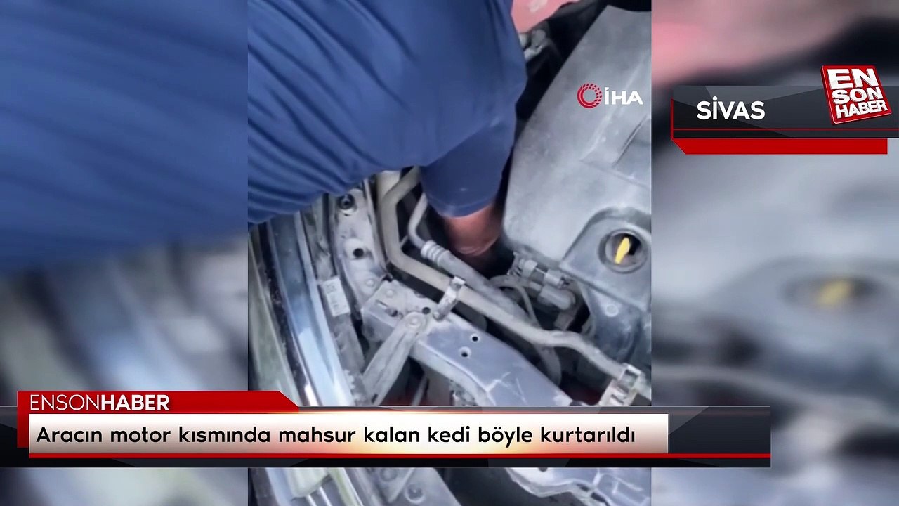 Aracın motor kısmında mahsur kalan kedi böyle kurtarıldı
