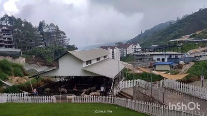 Malaysias coldest place / scenic views