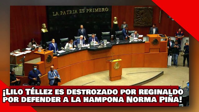 ¡VEAN! ¡’Lilo Téllez’ es despedazado por El diputado Reginaldo por defender a la hampona Norma Piña!