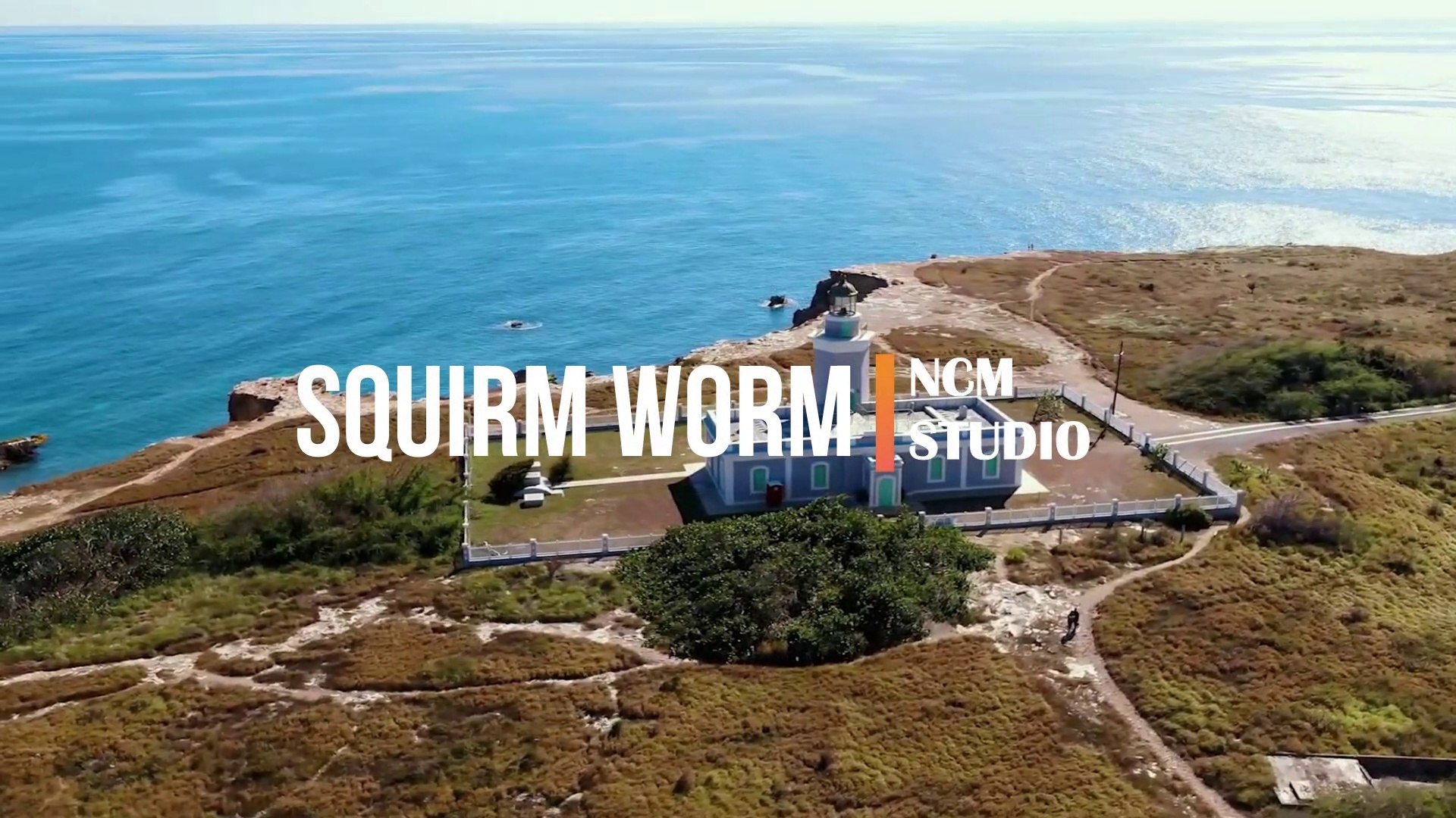 Squirm Worm - TrackTribe  Jazz Music, Bright Music, Celebration Music, Bar Music