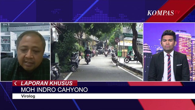 Geger Puluhan Kucing Mati Misterius, Apa Penyebabnya? | Laporan Khusus