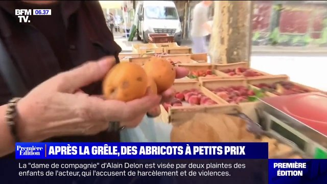 Abîmés par la grêle, les abricots coûtent moins cher