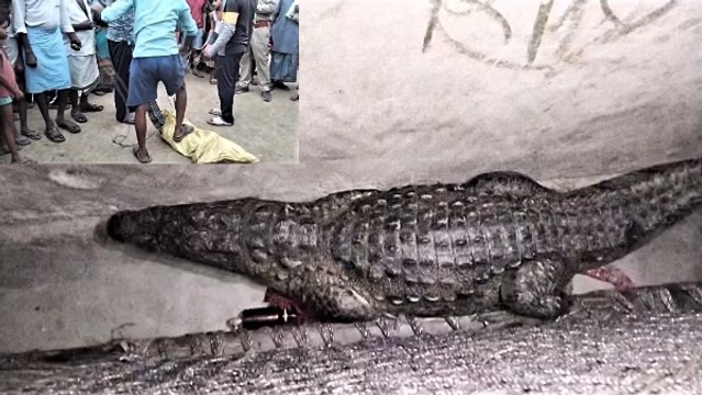 Viral Video: चारपाई के नीचे पूरी रात आराम फरमाती रही मौत, आँख खुली तो मगरमच्छ देख उड़ गए होश