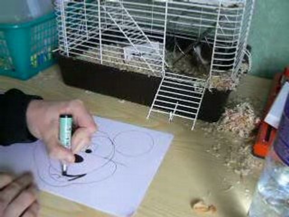 Méthode de dessin Mickey Mouse