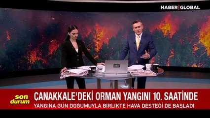 4 ilde orman yangını! Havadan karadan müdahale sürüyor