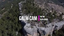Calm Cam - TrackTribe  Jazz Music, Bright Music,Relaxing Music