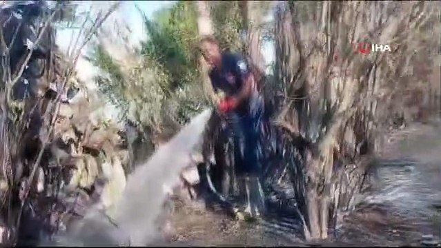 Alevlerin arasında yaşama dönen kaplumbağa, itfaiye erinin sevinci oldu