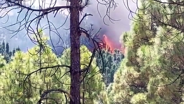 İspanya'da Büyük Kanarya Adası'nda Orman Yangını: Yüzlerce Kişi Tahliye Edildi