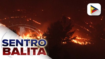 Higit 40 patay sa wildfire sa Algeria