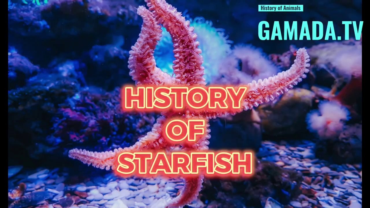 Starfish: Nature's Living Masterpieces - A Fascinating History Unfolded