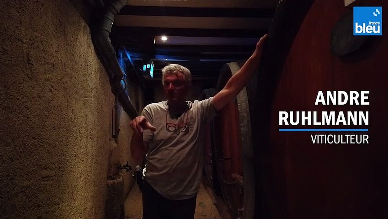 Domaine Ruhlmann-Schutz à Dambach-la-Ville 2/5