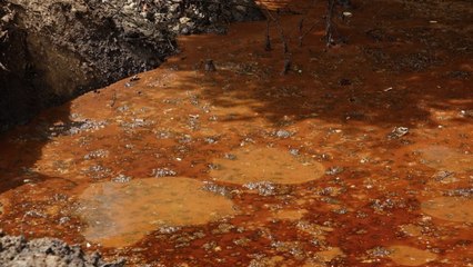 Atıklar derenin rengini değiştirdi