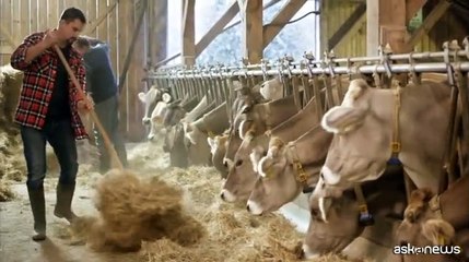 Ddl cibo coltivato, Scordamaglia: ? un faro su prodotti rischiosi