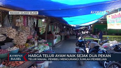 Harga Telur Ayam Naik Sejak Dua Pekan