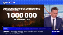 Incendies: en trois semaines, la Grèce a émis 1.000.000 de tonnes de CO2