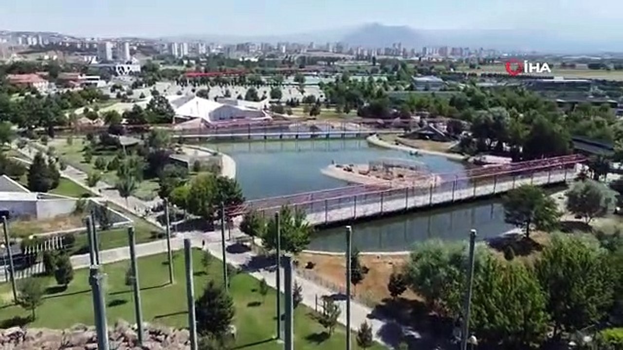 Hayvanat Bahçesindeki hayvanlar aşırı sıcakta buzlu meyve kokteyli ile serinliyor