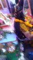 शिव महापुराण 2023: आज मेरे भोले की शादी है महादेव की बारात में जमकर थिरके भक्त, जीवंत झांकियों से शिवमय हुआ माहौल, देखें वीडियो