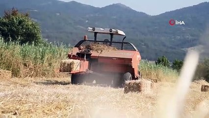 Sındırgı'da kışlık yem hasadı gerçekleştirildi