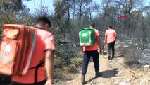 Manisa'da çıkan orman yangınında sabotaj ihtimali araştırılıyor