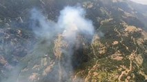 Manisa’da orman yangını: Rüzgarın etkisiyle yayılıyor…