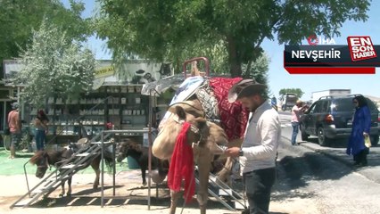 Sıcaktan bunalan develere dondurma ve karpuz takviyesi
