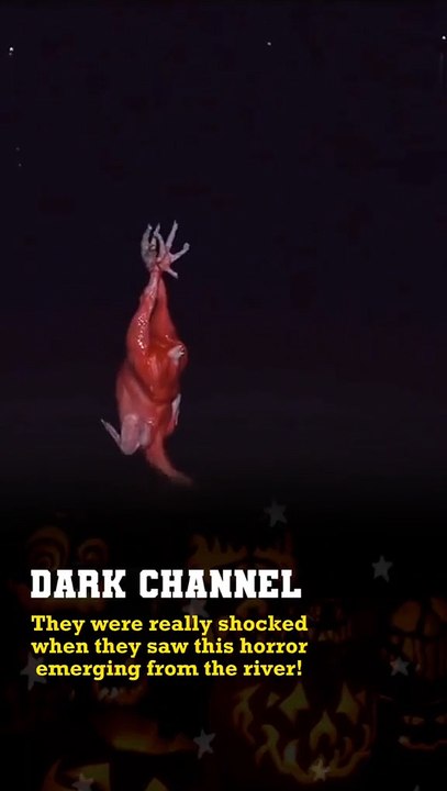 Bait with chicken