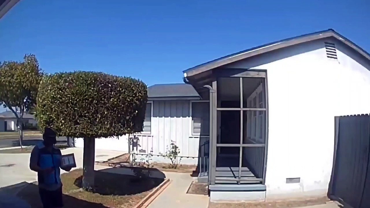 Amazon Delivery Driver Goes for a Swim