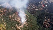 Alaşehir'de orman yangını: Havadan ve karadan müdahale ediliyor