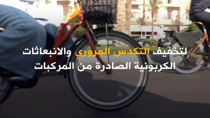 لتخفيف التكدس المروري والانبعاثات الكربونية.. القاهرة تستقطع جزءاً من الطريق لأصحاب الدراجات!