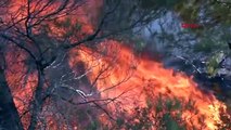 Yunanistan'da Orman Yangınları Devam Ediyor