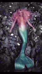 Shakira'nın klip çekiminde zor anları! Fareyi görünce çığlık attı