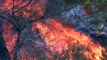 Les incendies de forêt se poursuivent en Grèce