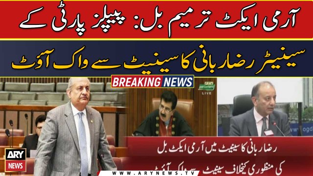 Raza Rabbani opposes Army Act Amendment bill