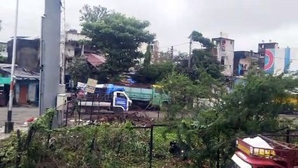 SURAT VIDEO NEWS : ... अब नीलगिरी क्षेत्र में ‘नीलगिरी’ का एक भी पेड़ नहीं बचा !