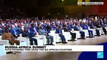 Putin promises free grain for six African countries at summit in Russia
