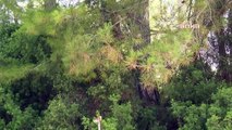 Akbelen'de Ağaçları Kesen Yk Enerji ile Orman Genel Müdürlüğü Arasında 6 Milyon 100 Bin Liralık Protokol Ortaya Çıktı.