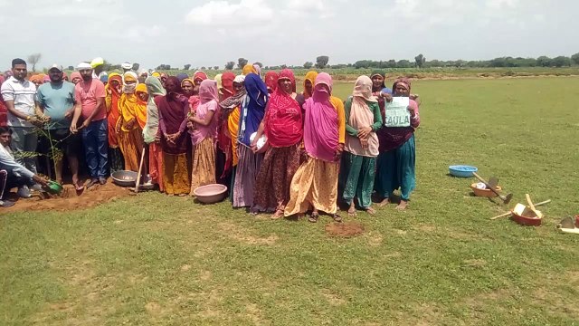 महिलाओं ने उत्साह के साथ रोपे सैकड़ों पौधे