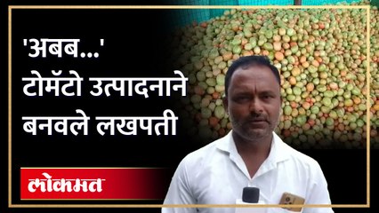 राज्यातील अनेक शेतकऱ्यांना टोमॅटो ने बनवले लखपती तर कुणाला करोडपती