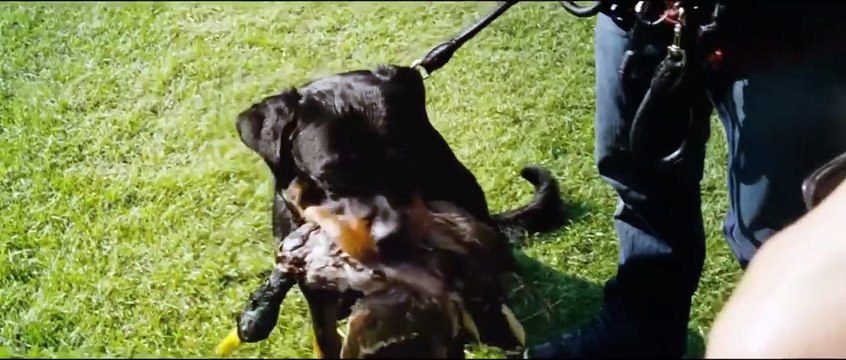 Mann tut was Mann kann Bande-annonce (DE)