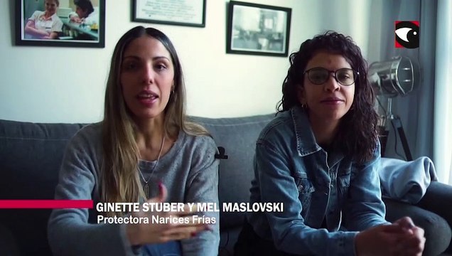 3 Miradas | Narices Frías” una protectora animal que apuesta a la concientización sobre el cuidado responsable