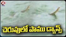 Snake Dancing In Lake | Telangana Rains | V6 News