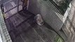 VÍDEO: Homens arrombam portão e fazem a limpa em prédio em bairro nobre de Salvador