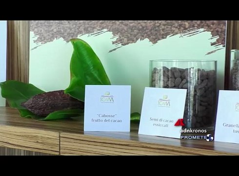 Sostenibilità, Icam Cioccolato conferma il suo impegno per gli individui, le comunità, la filiera e l’ambiente