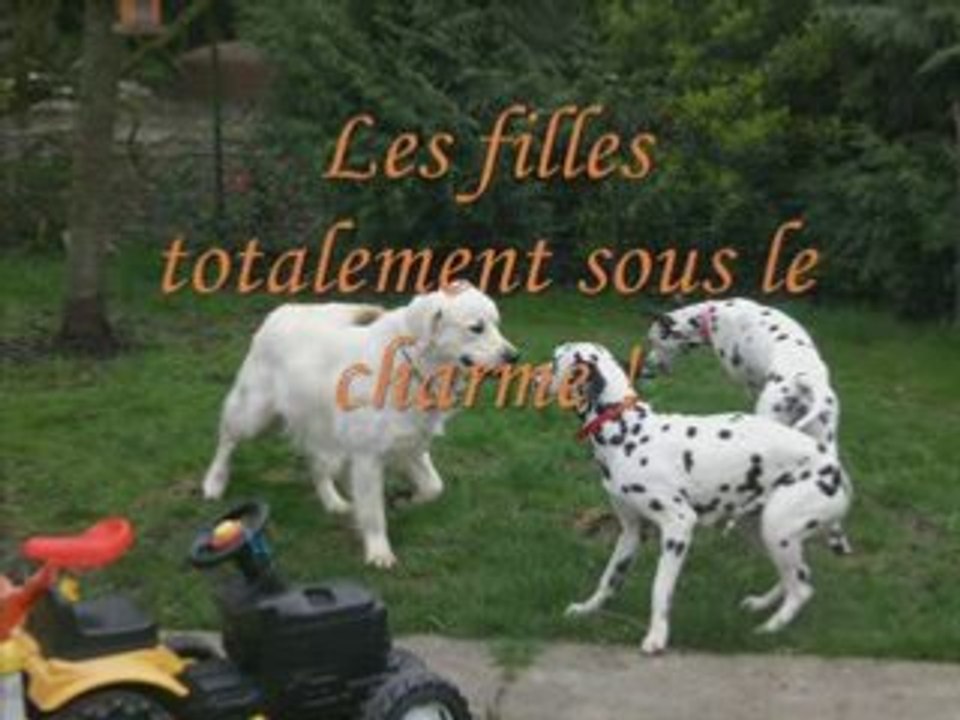 Les loulous et leur copain