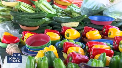 Feira: bons preços e ambiente amigável