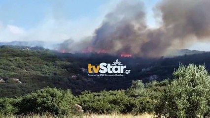 Μεγάλη αναζωπύρωση αυτή τη στιγμή στη βόρεια πλευρά της Λαμίας – Νέα ειδοποίηση από 112