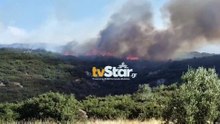 Μεγάλη αναζωπύρωση αυτή τη στιγμή στη βόρεια πλευρά της Λαμίας – Νέα ειδοποίηση από 112