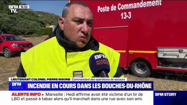 Incendie à Lançon-Provence: 228 sapeurs-pompiers déployés pour fixer un feu qui a parcouru plus de 30 hectares