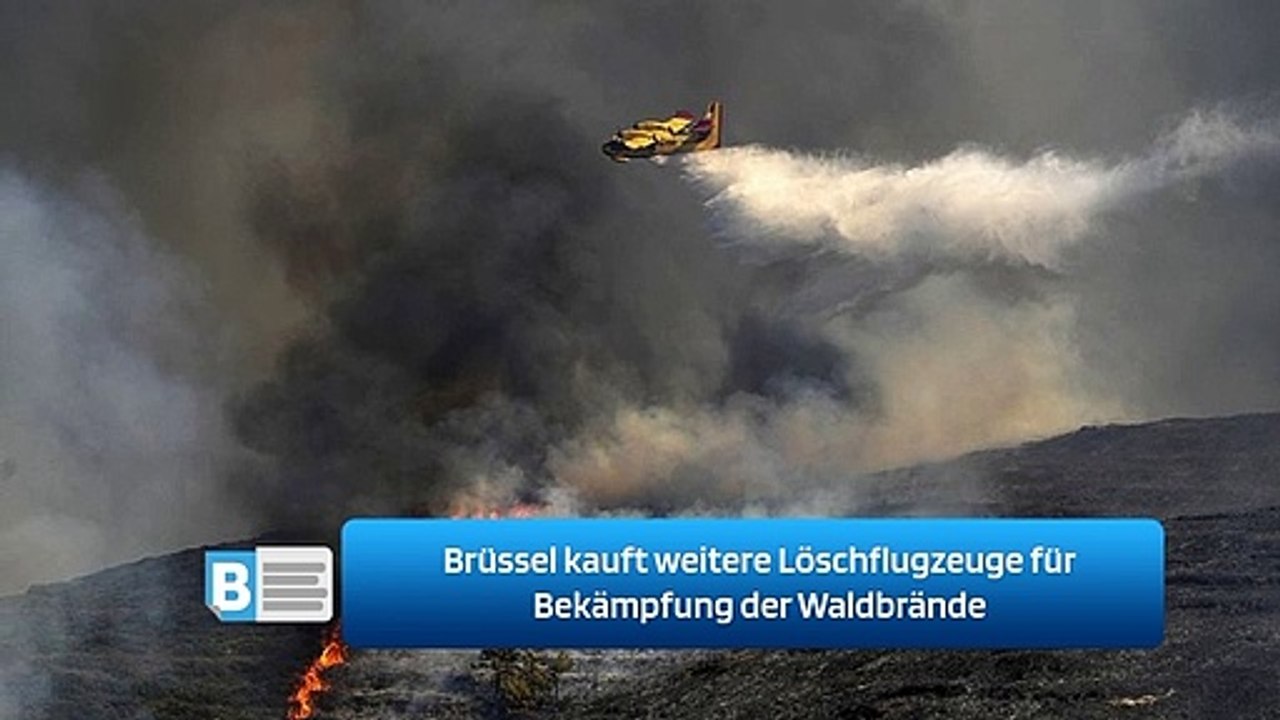 Brüssel kauft weitere Löschflugzeuge für Bekämpfung der Waldbrände